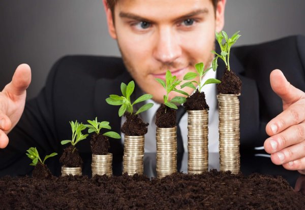 Businessman Protecting Coins In Saplings